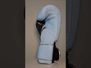 Gants Silver Blue